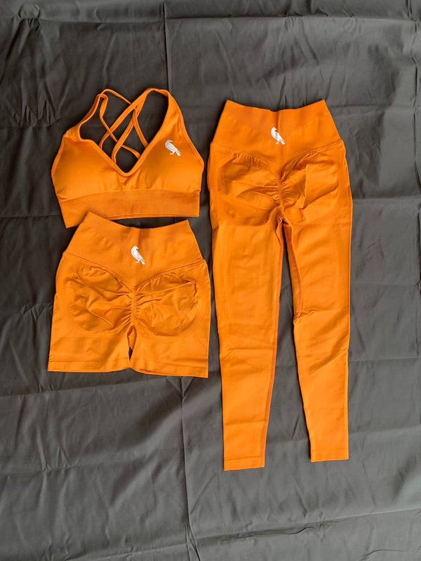 Kunguru 3 pieces gym set